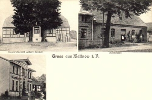 Malonowo widokowa - Reprodukcja 41245