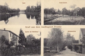 Stare Dębno - Reprodukcja 41276