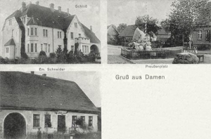 Stare Dębno - Reprodukcja 41277