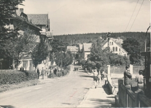 Świerardów Zdój ul. Bieruta - 033523