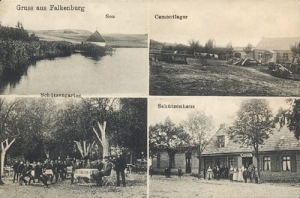 Złocieniec widokowa - Reprodukcja 16157