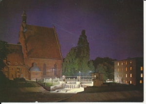 Bydgoszcz Kościół Farny - 033641