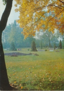 Września Park Wolności Ludów - 033662