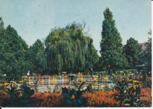 Pińczów fragment parku - 033686