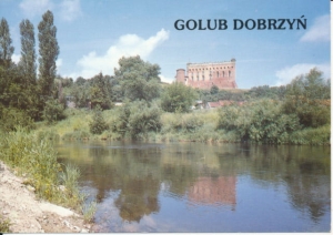 Golub Dobrzyń zamek - 033771