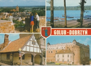 Golub Dobrzyń widokowa - 033802