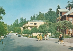 Iwonicz Zdrój ul. Zdrojowa - 033908