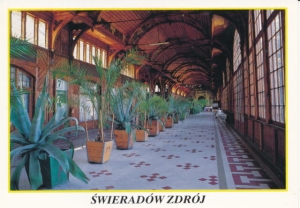 Świerardów Zdrój dom zdrojowy - 033956