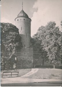 Świdwin zamek - 033967