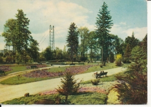 Gorlice fragment parku - 033995