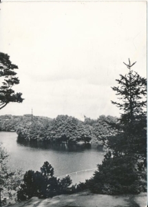 Łagów fragment jeziora - 033998