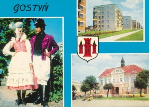 Gostyń widokowa herb - 034049