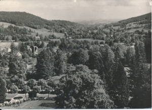Świerardów Zdrój panorama - 034175