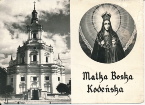 Kodeń widokowa - 034332