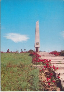 Wronki pomnik - 034382