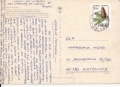 IMG_0002.jpg