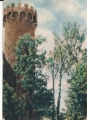 IMG_0009.jpg