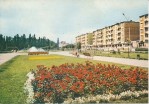 Leszno osiedle grunwaldzkie - 034826