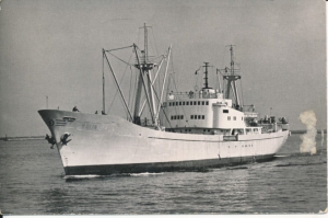 M/S Wolin - 034947