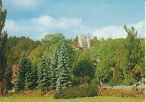 Krynica fragment parku - 035004