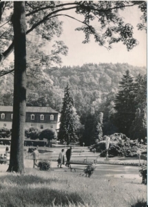 Kudowa Zdrój - 035042