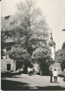 Świerardów Zdrój - 035045