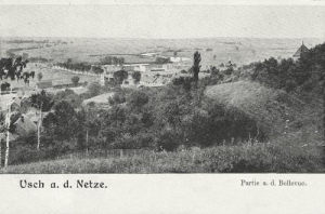 Ujście panorama - Reprodukcja 41426