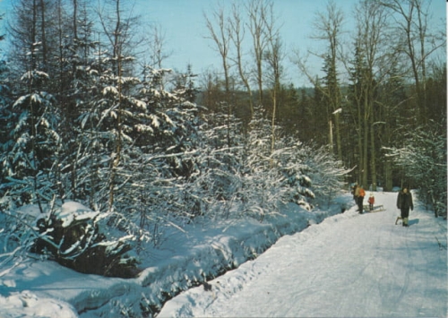 IMG_0041.jpg