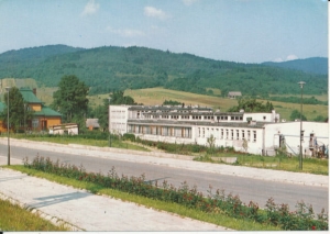Wysowa zakład przyrodoleczniczy - 035165