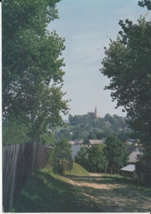 Jabłonka widok ogólny - 035167