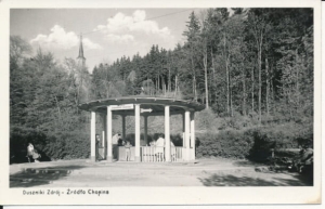 Duszniki Zdrój źródło Chopina - 035240