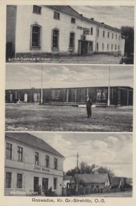 Rozwadza widokowa - Reprodukcja 41445