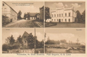 Rozwadza widokowa - Reprodukcja 41446