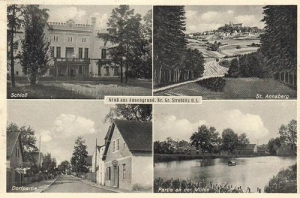 Rozwadza widokowa - Reprodukcja 41448