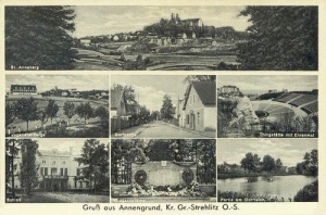 Rozwadza widokowa - Reprodukcja 41449
