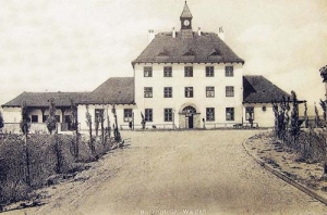 Zalesie Śląskie Dworzec - Reprodukcja 41450