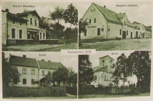 Zalesie Śląskie widokowa - Reprodukcja 41453