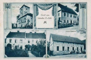 Zalesie Śląskie widokowa - Reprodukcja 41456