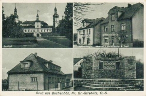 Żyrowa widokowa - Reprodukcja 41475