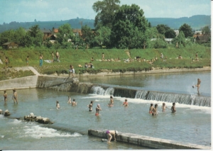 Nowy Sącz rzeka Kamienica - 035756