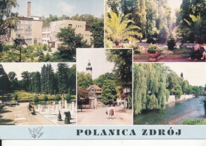 Polanica Zdrój widokowa - 035915