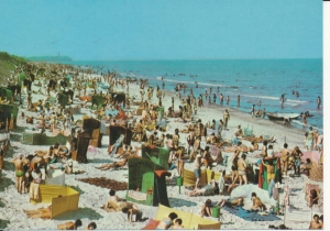 Pogorzelica plaża Bałtyk morze - 035934