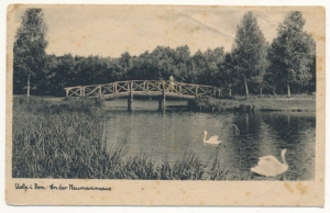 Słupsk staw park - 036109