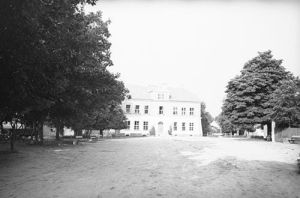 Skępe park - Reprodukcja 41578