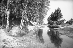 Skępe widok na rzekę - Reprodukcja 41585