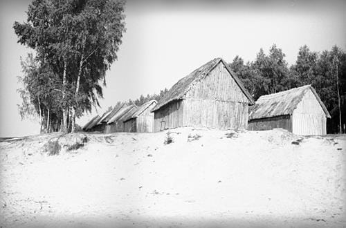 41589 (Copy).jpg