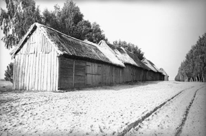 Skępe drewniana zabudowa wsi - Reprodukcja 41592