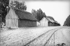 Skępe drewniana zabudowa wsi - Reprodukcja 41594
