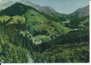 Tatry widok z przełęczy Iwaniackiej - 037228