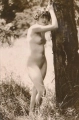 41987 (Copy).jpg